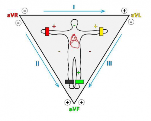 corso elettrocardiografia